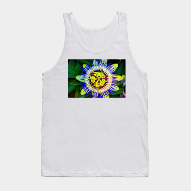 Passion Flower Summer Flowering Plant Tank Top by AndyEvansPhotos